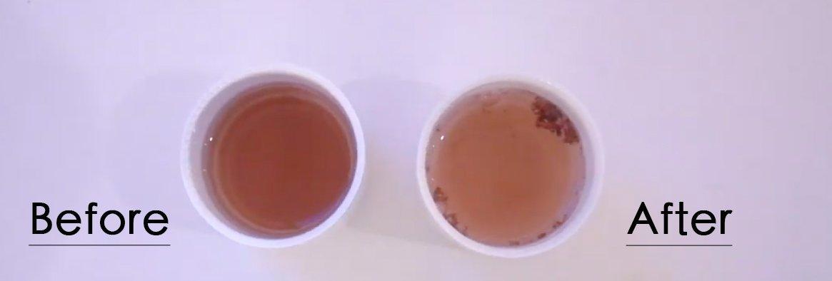 【 增量裝 】The Gargle 韓國 臨床實證 殺菌99%天然韓國人蔘漱口水 600ml